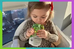 Taste-tested and toddler-approved: The best baby food pouches for the toughest critics